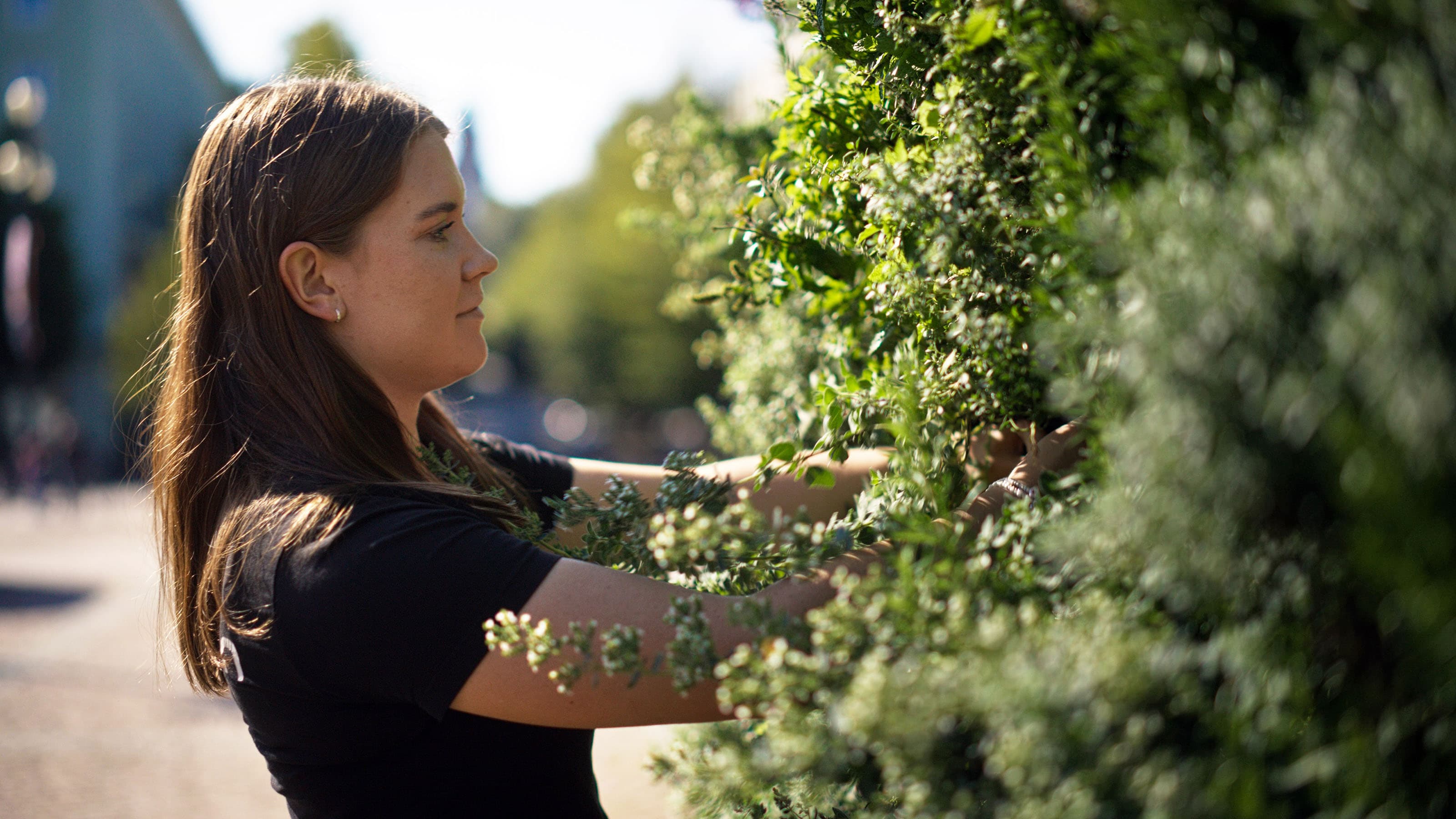 Green area maintenance image